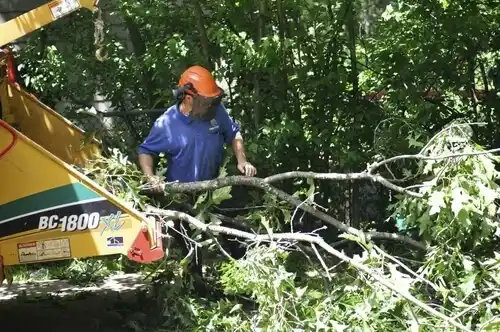 tree services High Rolls